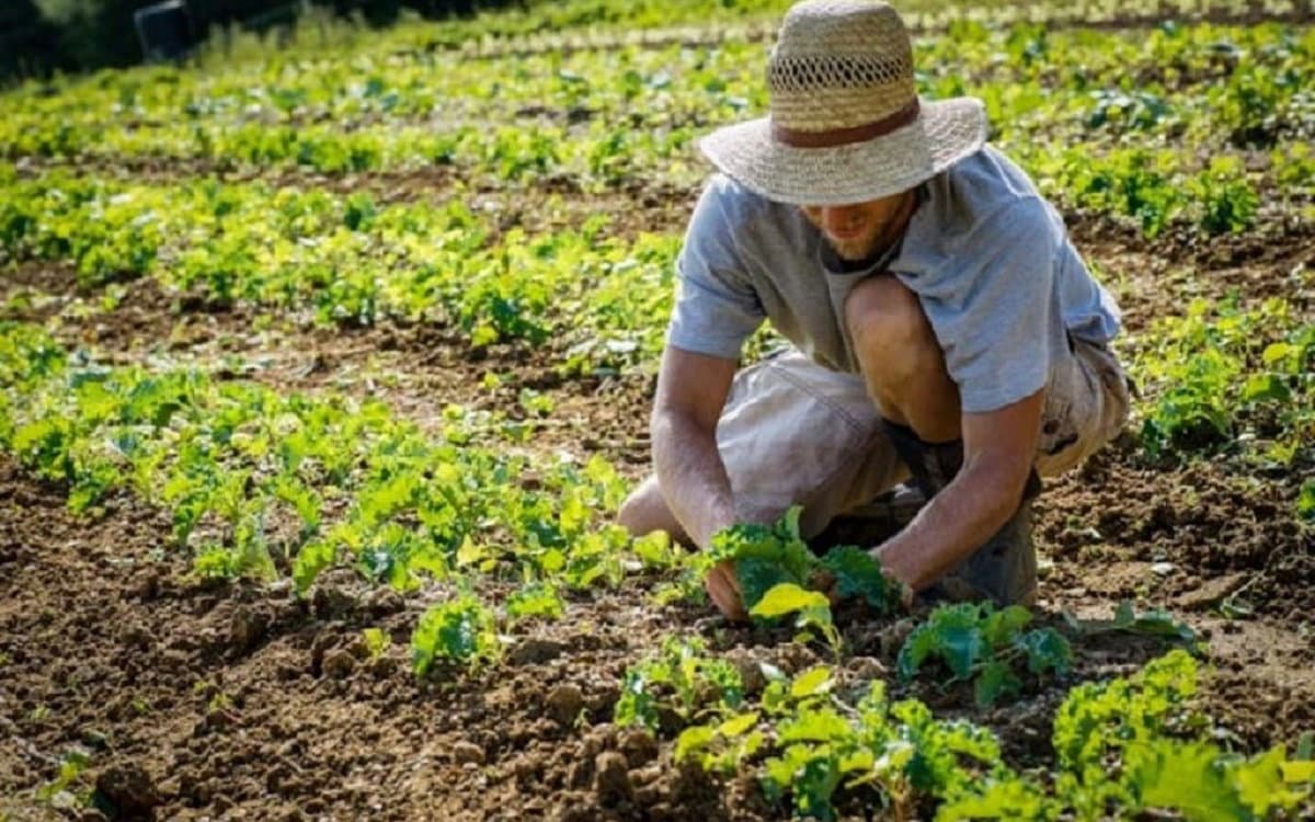 Agricoltura, Molinaro (Lega): «58milioni di euro fermi nelle casse della Regione»