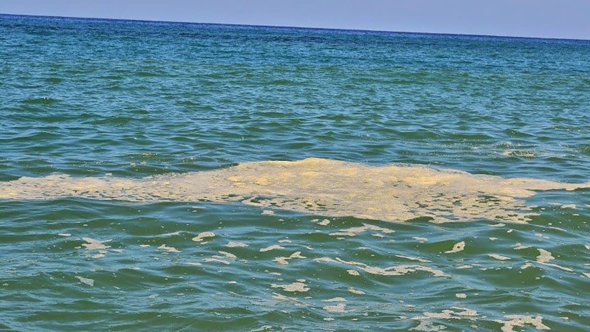 Rifiuti e mare sporco: «Fallimento completo dell'attuale giunta regionale»