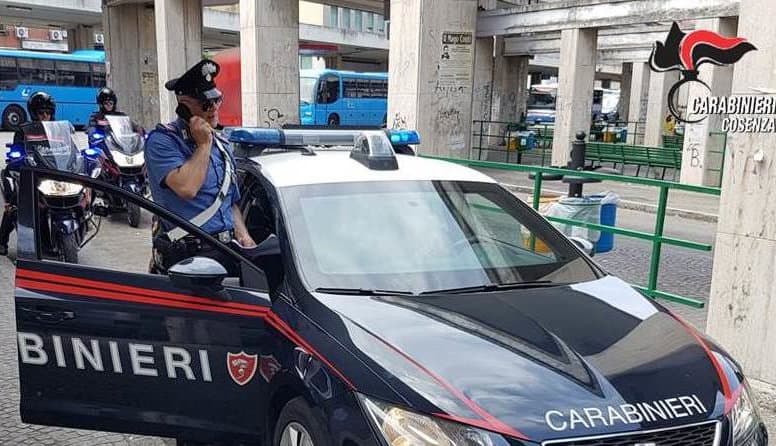 Cosenza, denunciato dai Carabinieri un quarantasettenne per furto e danneggiamento