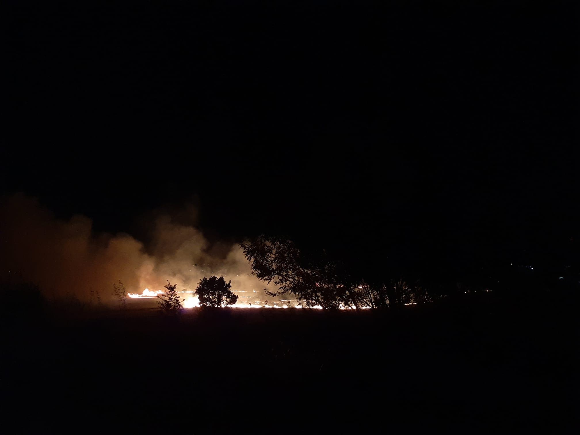 Incendi, ora le fiamme minacciano anche Castrovillari