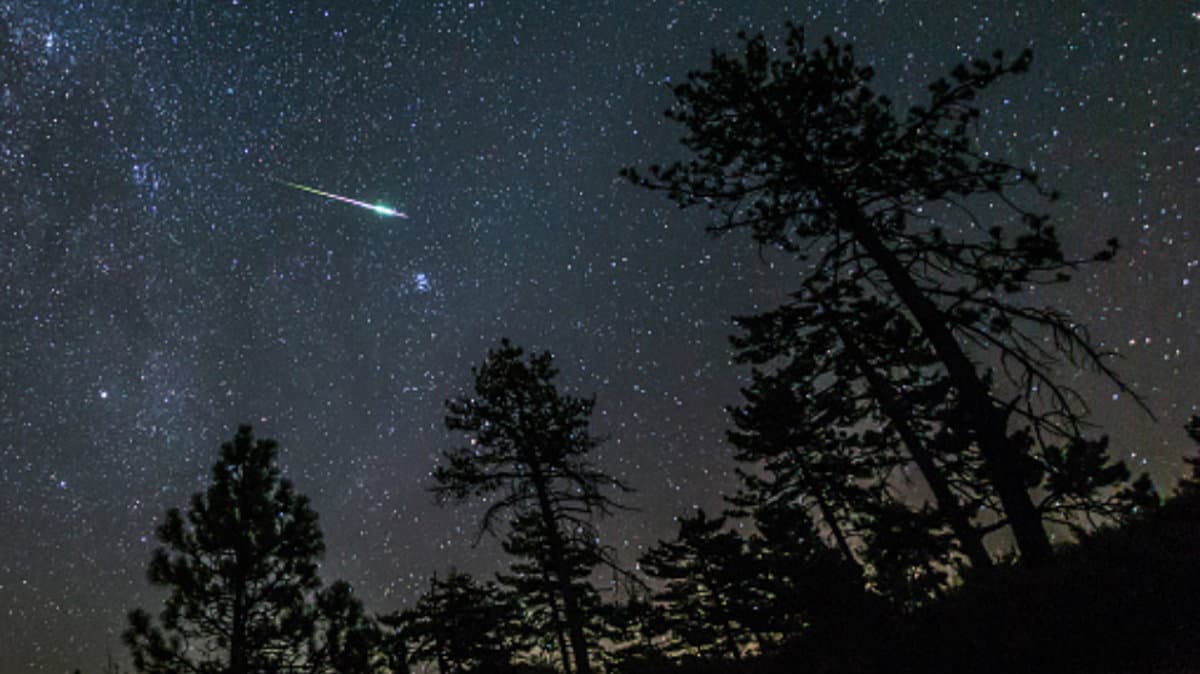 Notte di San Lorenzo, tutti pronti a esprimere desideri con il naso all’insù