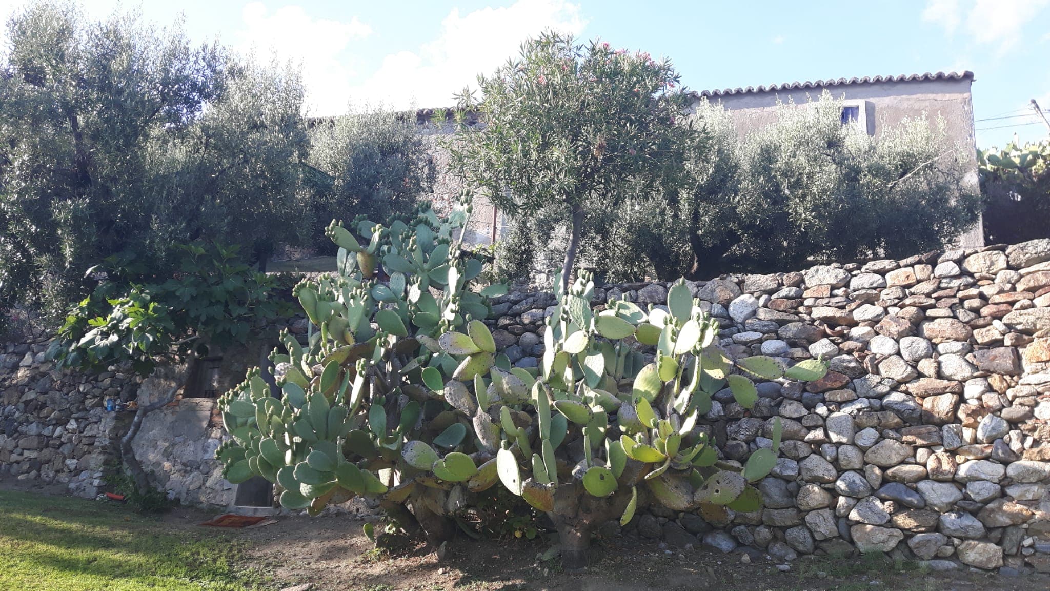 La Calabria brucia ma la sua infinita bellezza resiste. Un viaggio del cuore in Aspromonte