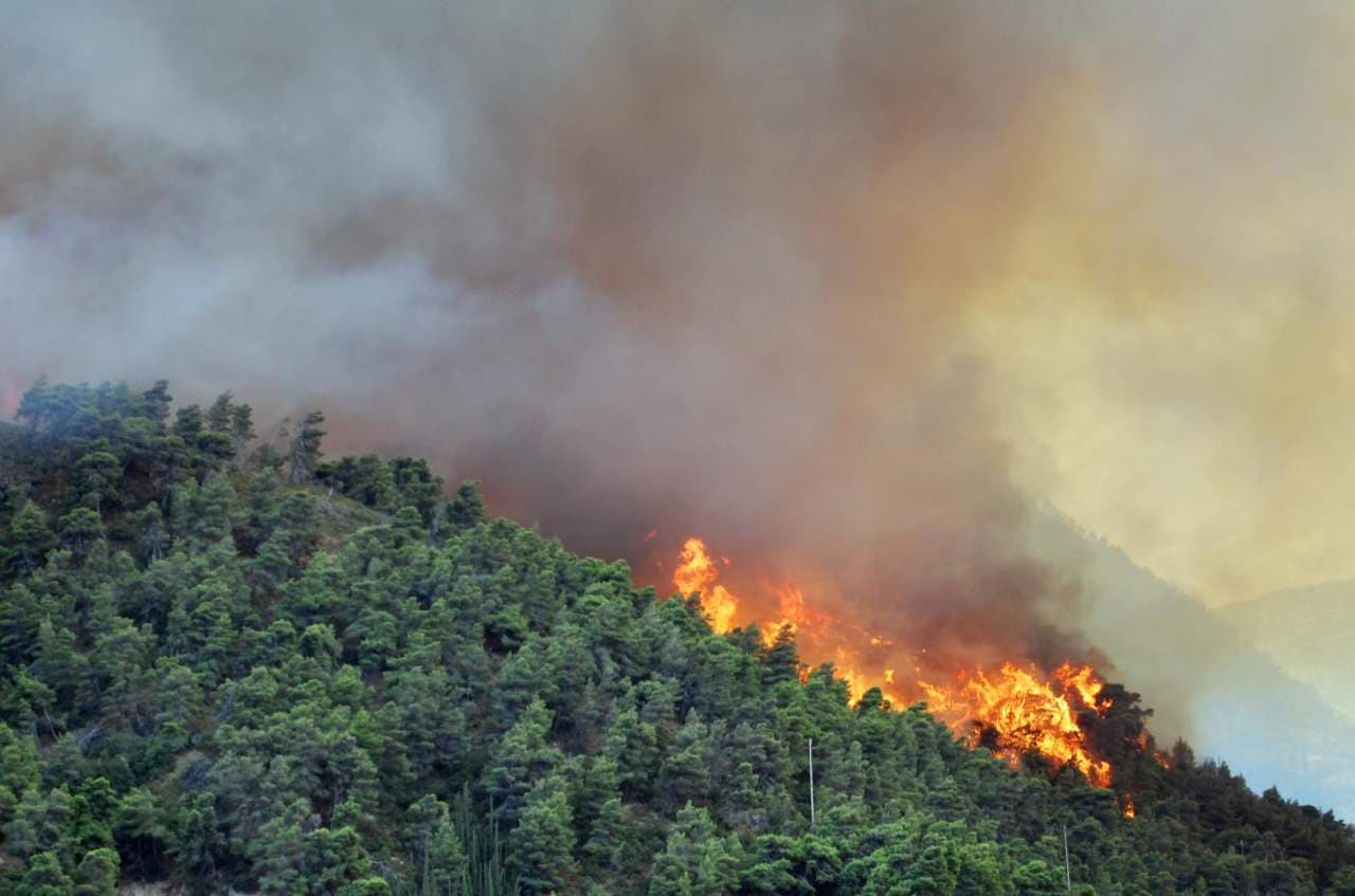 Emergenza incendi, un errore aver soppresso il Corpo forestale dello Stato