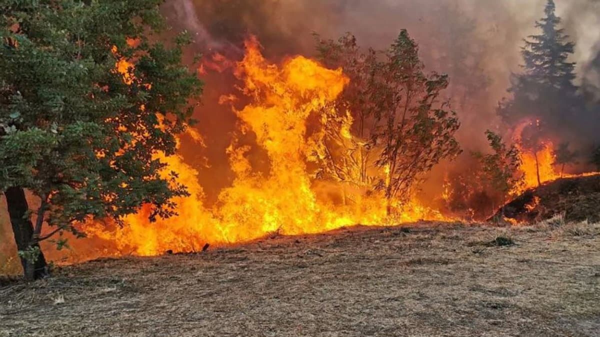 Incendio a Co-Ro, "Idee & libertà": «Un riconoscimento per quanti hanno combattuto contro il fuoco»