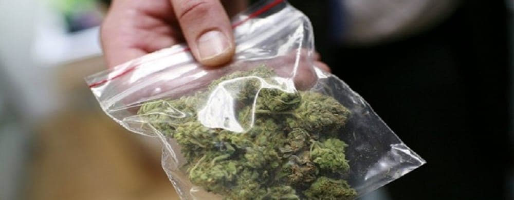 Vent'anni, una vita tranquilla ma con 100 grammi di marijuana nascosti nella cameretta