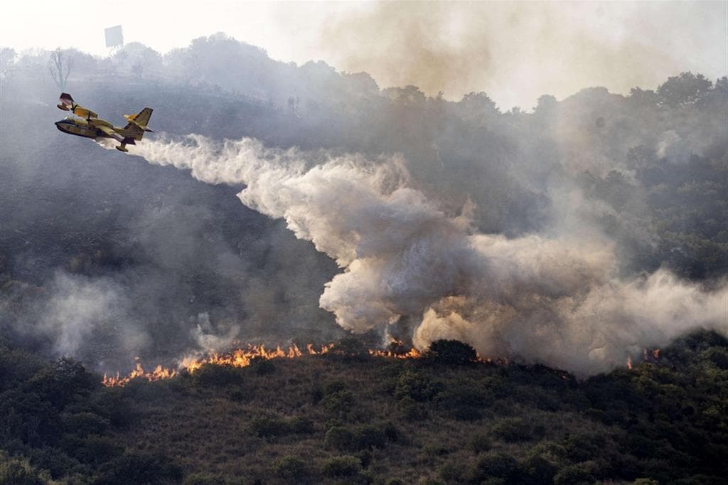 Incendi in Calabria, ora il Movimento 5 Stelle preme: «Serve riorganizzare Calabria Verde»