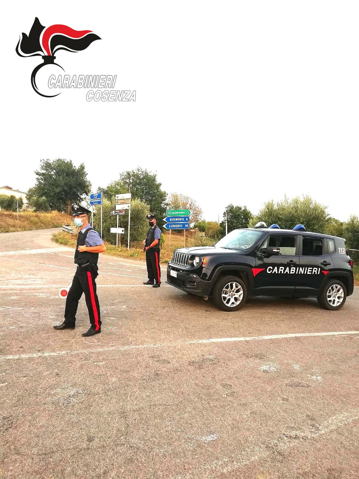 Altomonte, coltivava piante di marijuana: arrestato 40enne