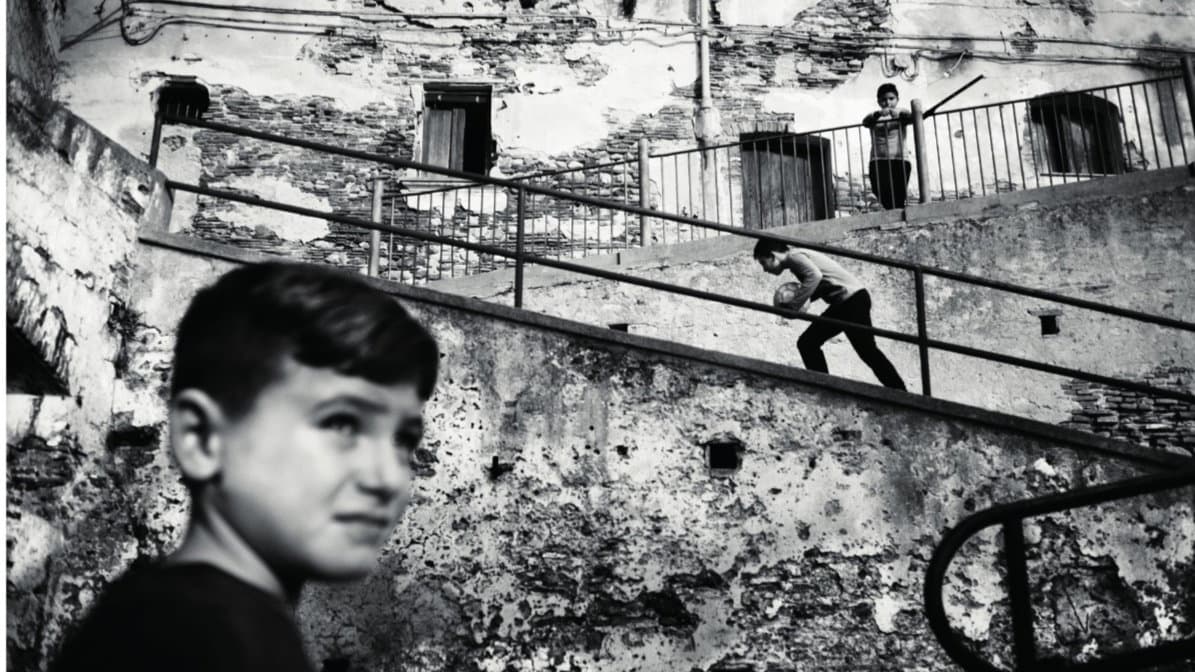 Corigliano per la Fotografia, l’associazione culturale riprende le attività tra corsi di base e nuovi progetti