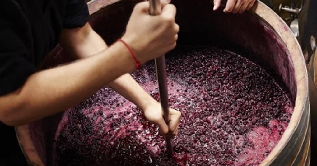 Paola, a breve sarà svolto l’esame autoptico sui corpi deceduti durante la vendemmia