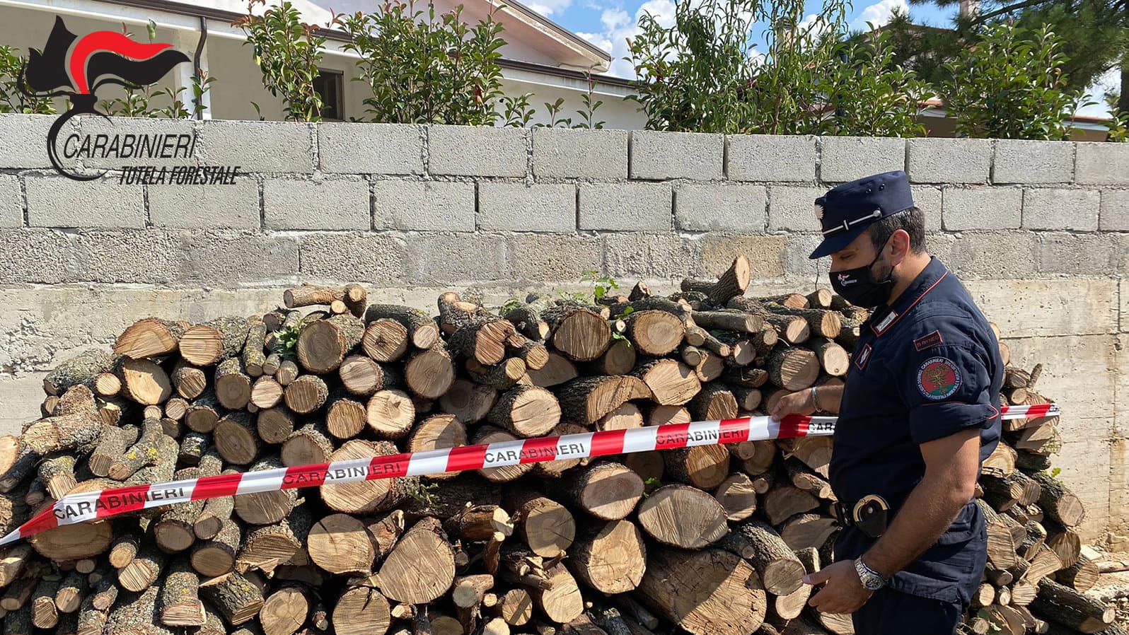 Sequestrati 50 quintali di legname di quercia. Quattro le denunce per appropriazione indebita