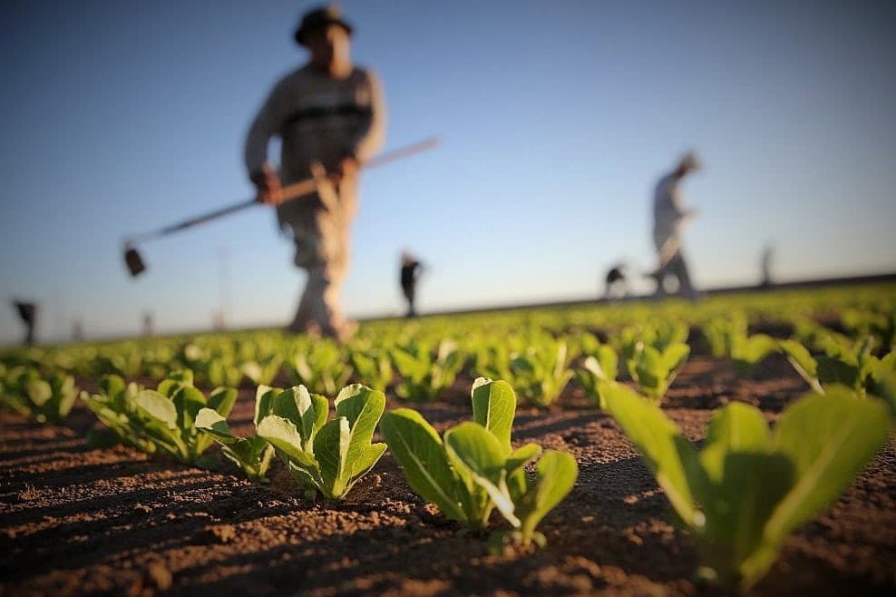 Premi di produttività per i lavoratori dell'agroalimentare: c'è l'accordo