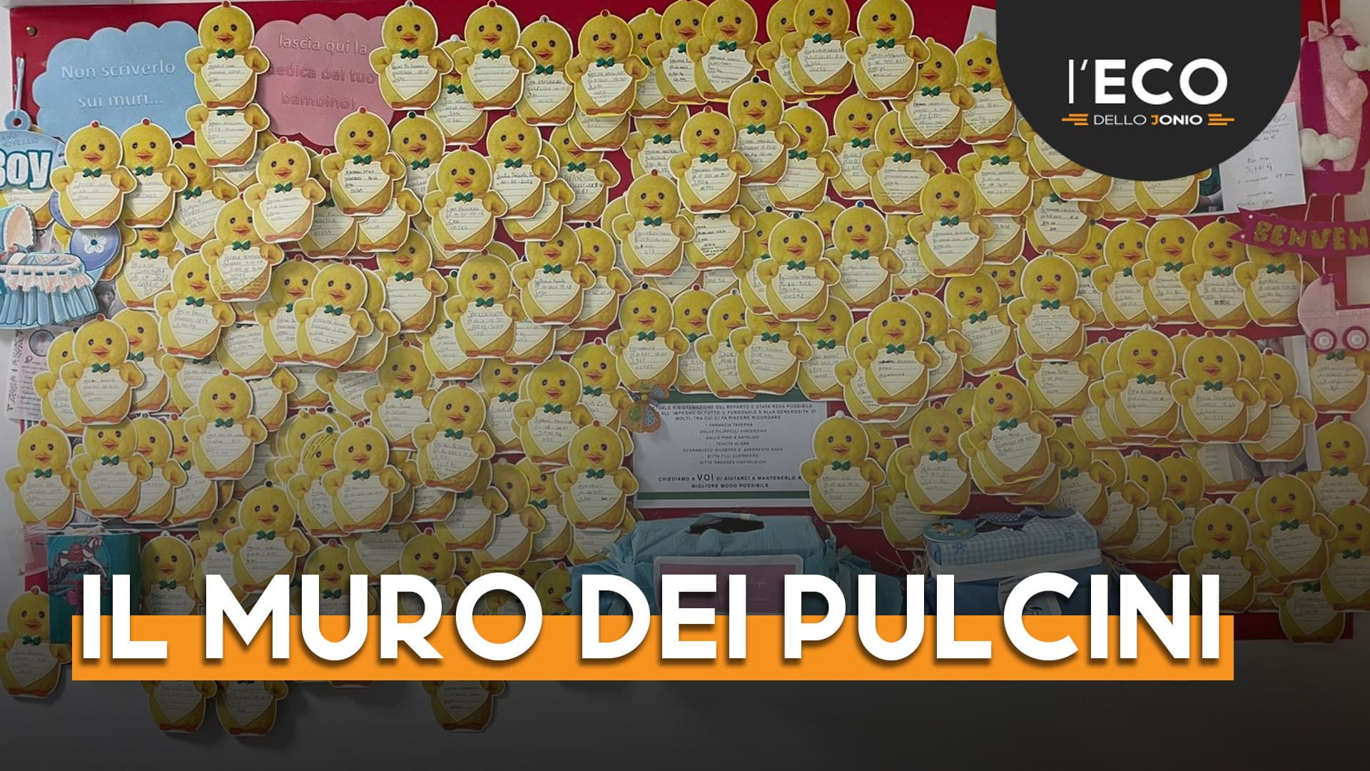 Contro il vandalismo è nato il “muro dei pulcini”. In Ostetricia si fa educazione civica