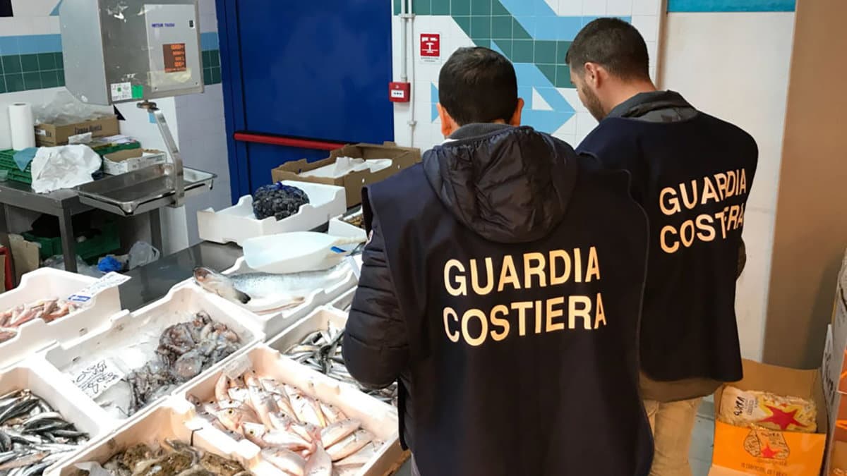 Operazione “Atlantide”: 2mila donne e uomini della Guardia Costiera per controllare la filiera ittica