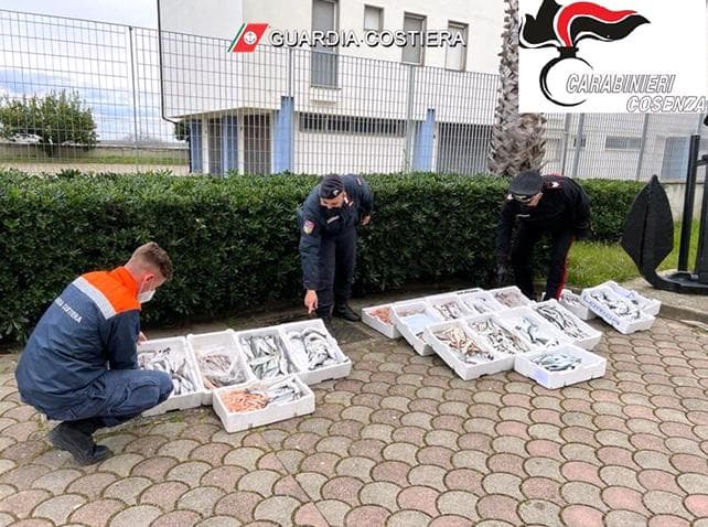 Operazione congiunta tra carabinieri e capitaneria di porto: sequestrati 105kg di pesce