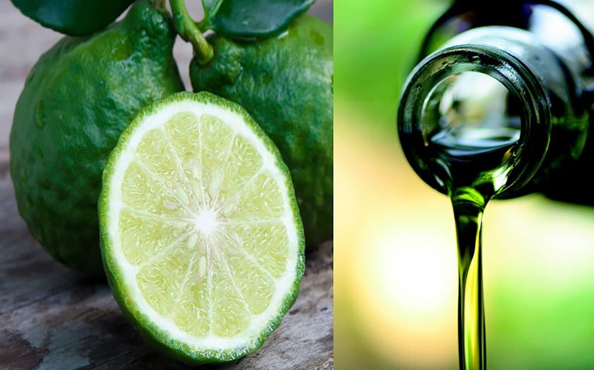Per avere un cuore sano la soluzione naturale c’è: olio calabrese e bergamotto
