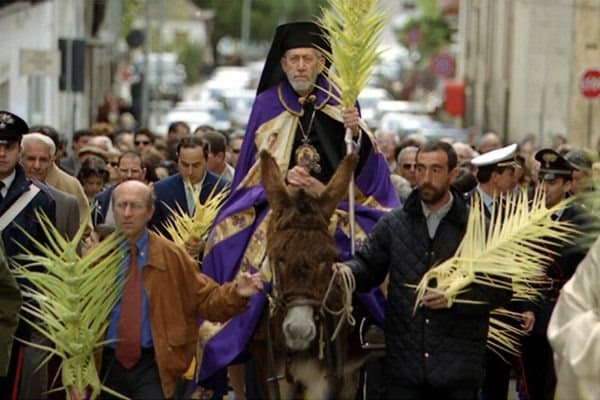 Domenica delle palme: tra lingue, mistagogia, alloro e fiori