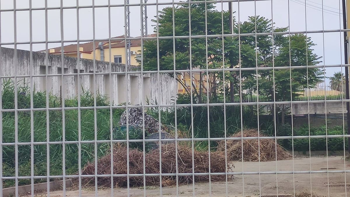 Il mercato ittico di Cariati è stato trasformato in una discarica a cielo aperto