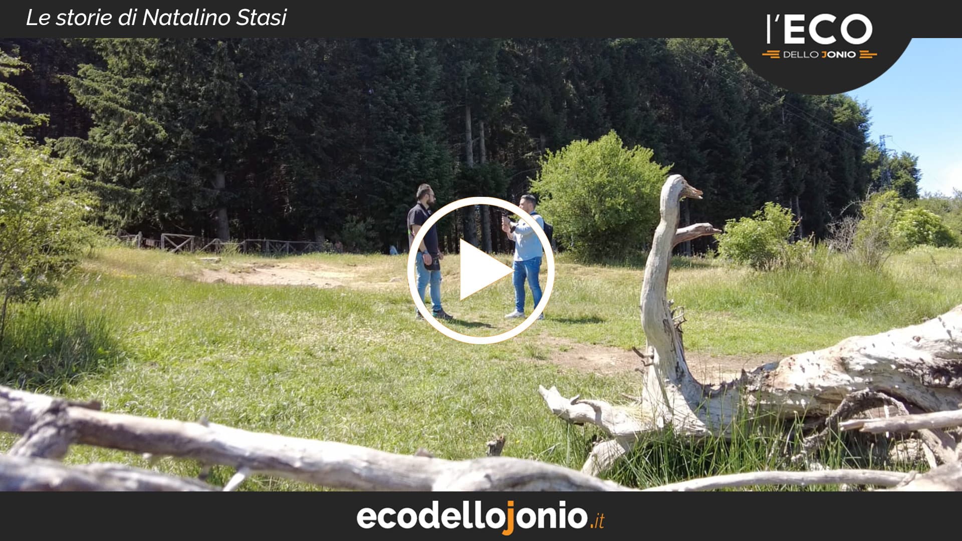 La Sila, il lago Cecita, un bar tra i pini: «È tutto quello che volevo... e che ho»