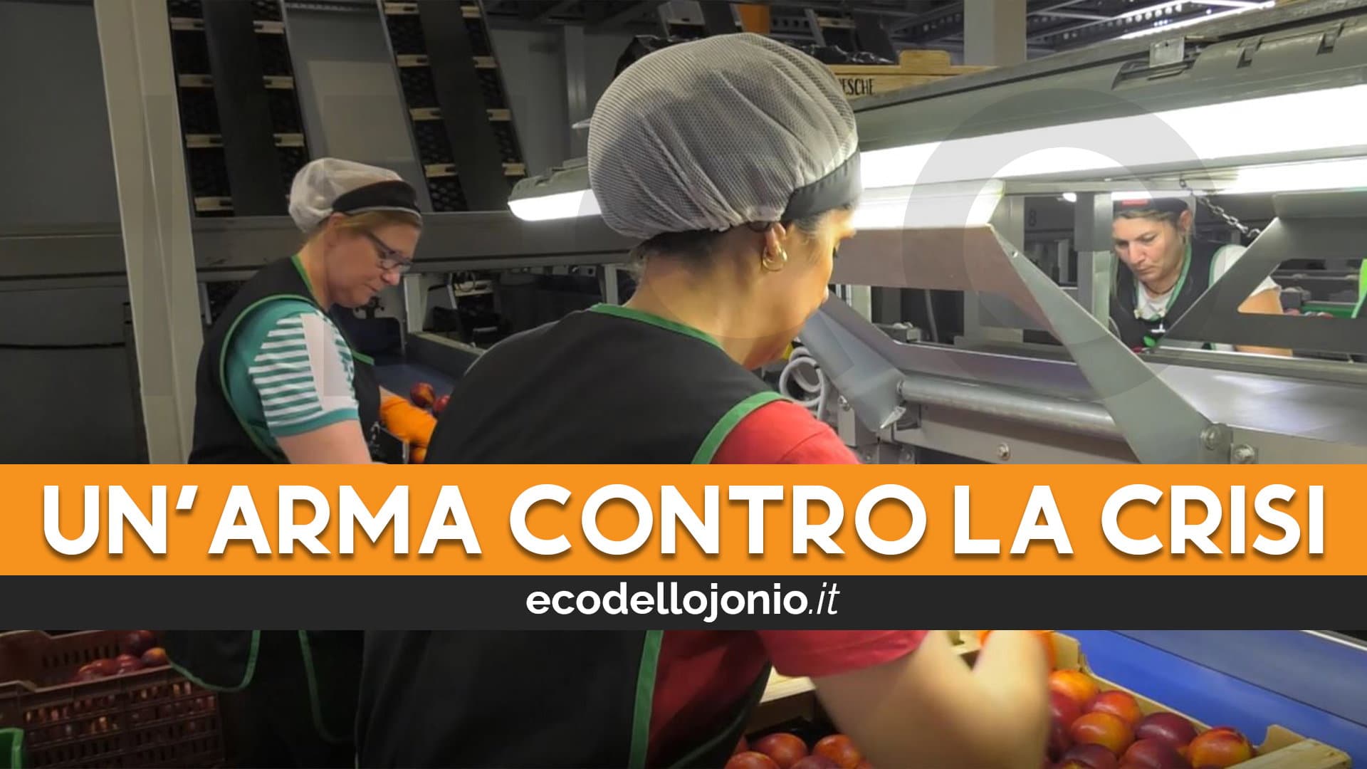 La cooperazione, strumento vincente contro la crisi ma poco "praticato" nella Sibaritide