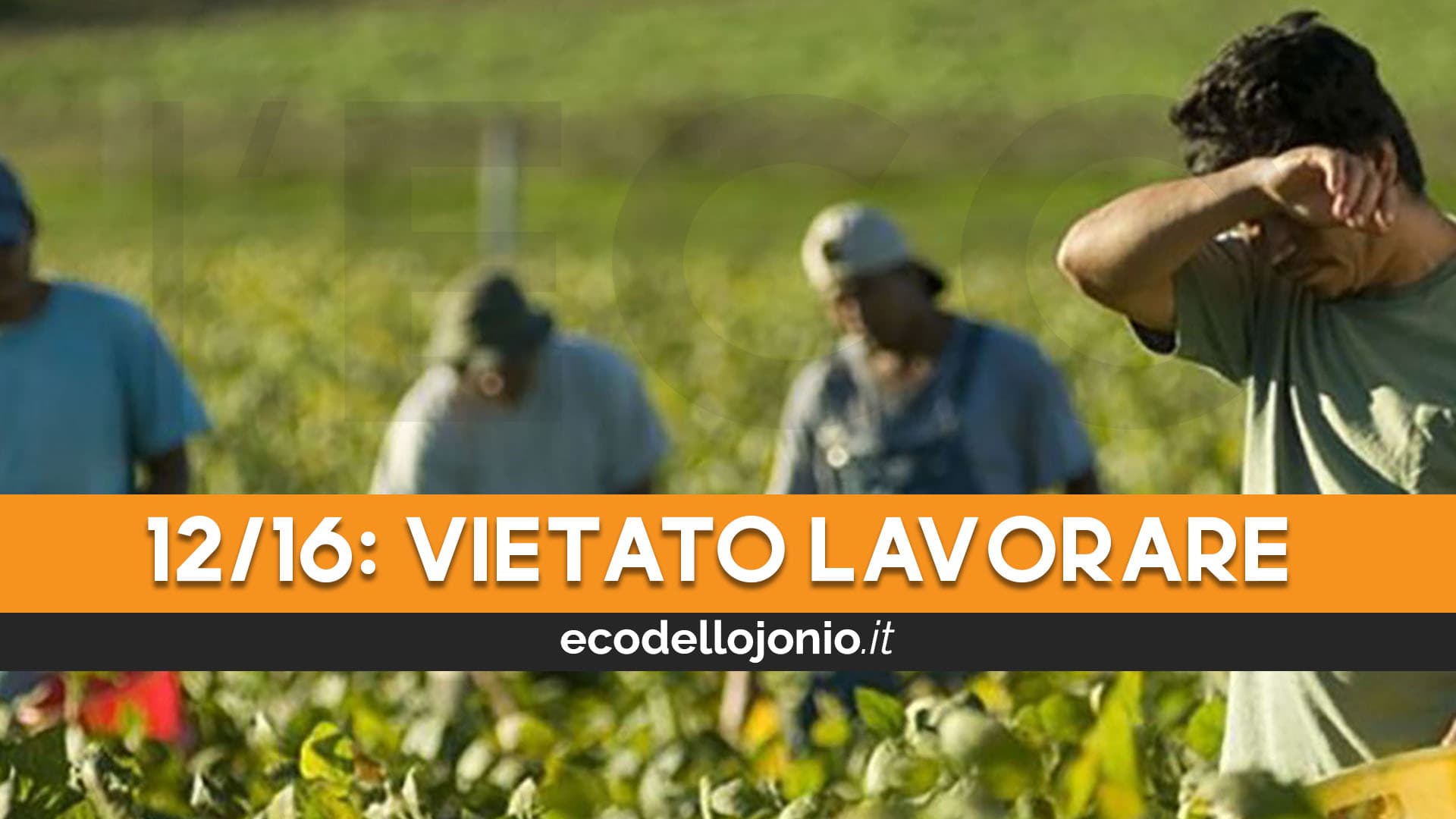 Settore agricolo, vietato lavorare nelle giornate ad alto rischio dalle 12 alle 16