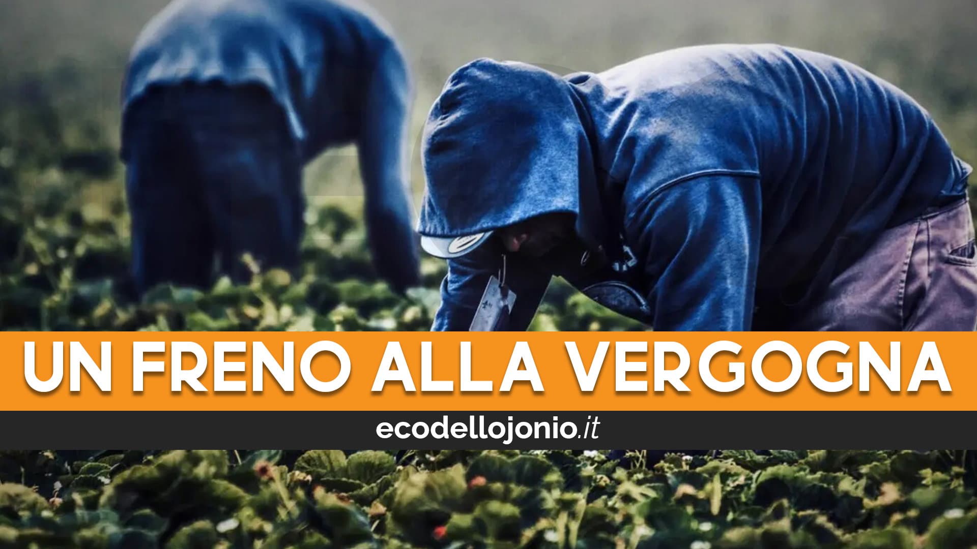 Lotta al caporalato, Corigliano-Rossano potrebbe essere un modello da seguire