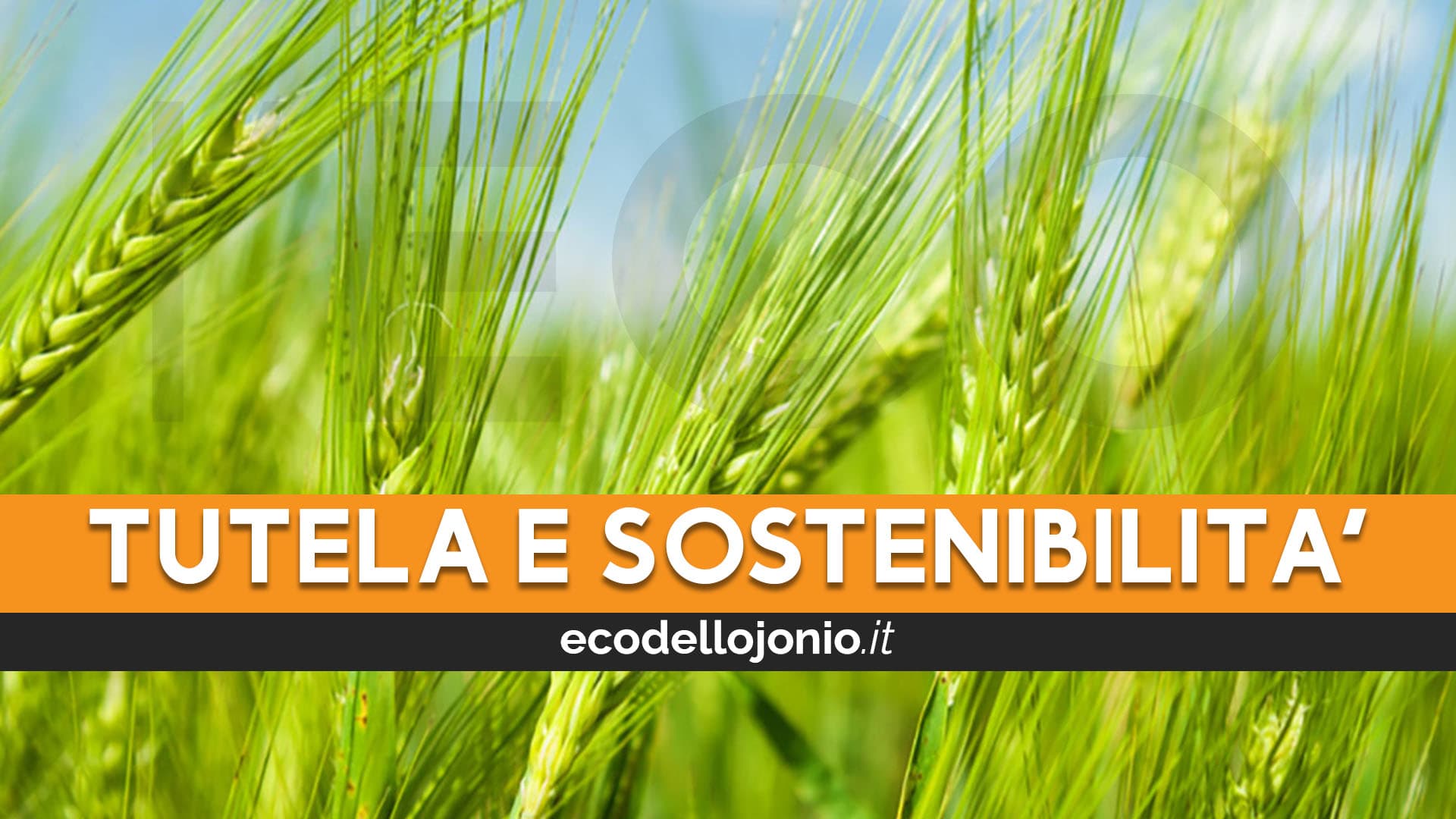 Arrivano le Spighe Verdi, l'alter ego green dell'ambita Bandiera Blu