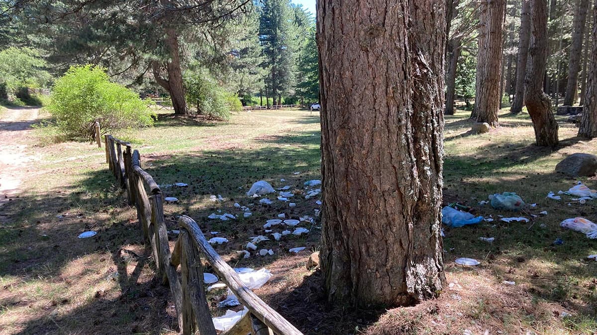 Bosco Plastic Free, la campagna Wwf arriva nell'area verde del Cerviolo