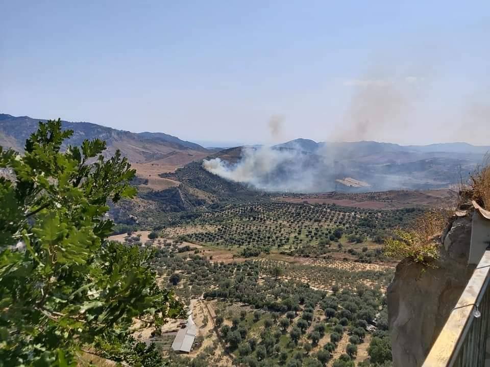 Scala Coeli, la BioValle del Nicà è accerchiata dal fuoco