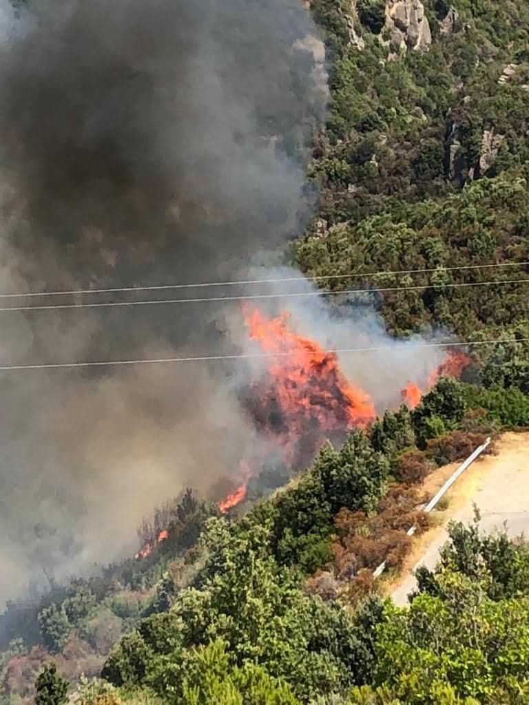 Bruciato il polmone verde di Pietrapaola: parco del Cerasello, Cucco, Rizzo e Vorde in fiamme