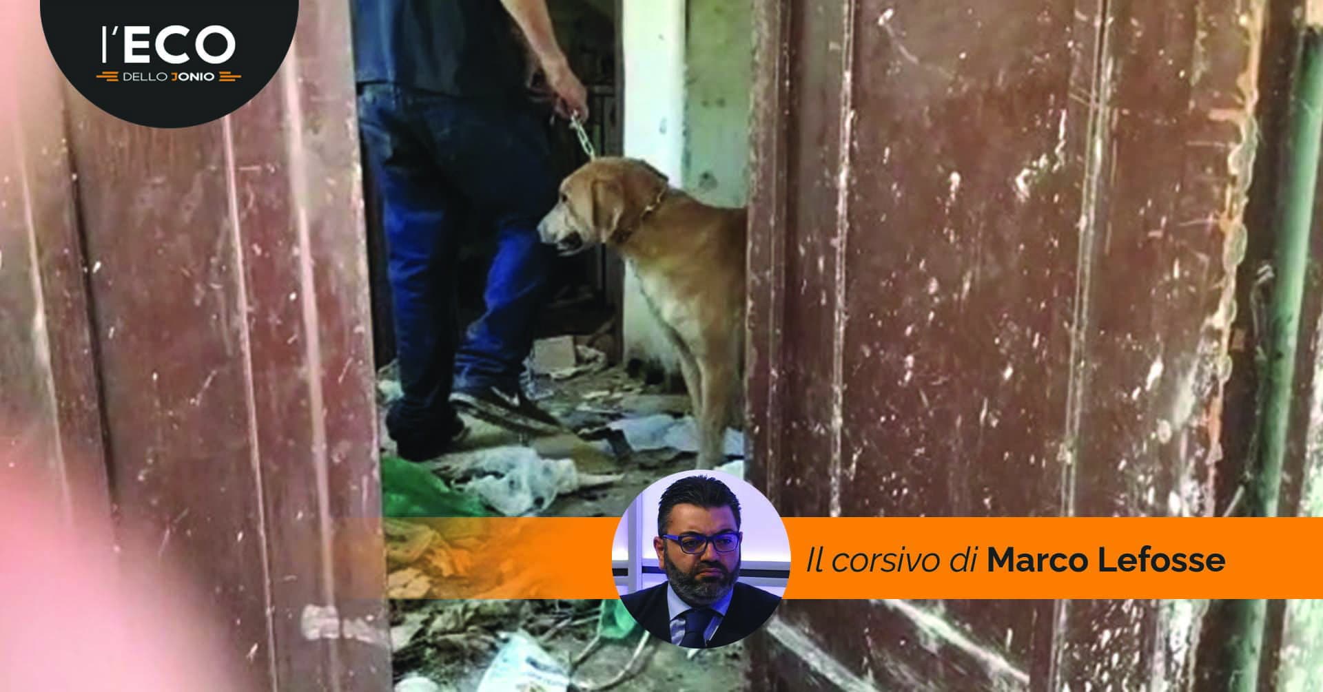 Restituire a quell'uomo il diritto alla dignità dovrebbe essere un dovere civico... prima di ogni normativa