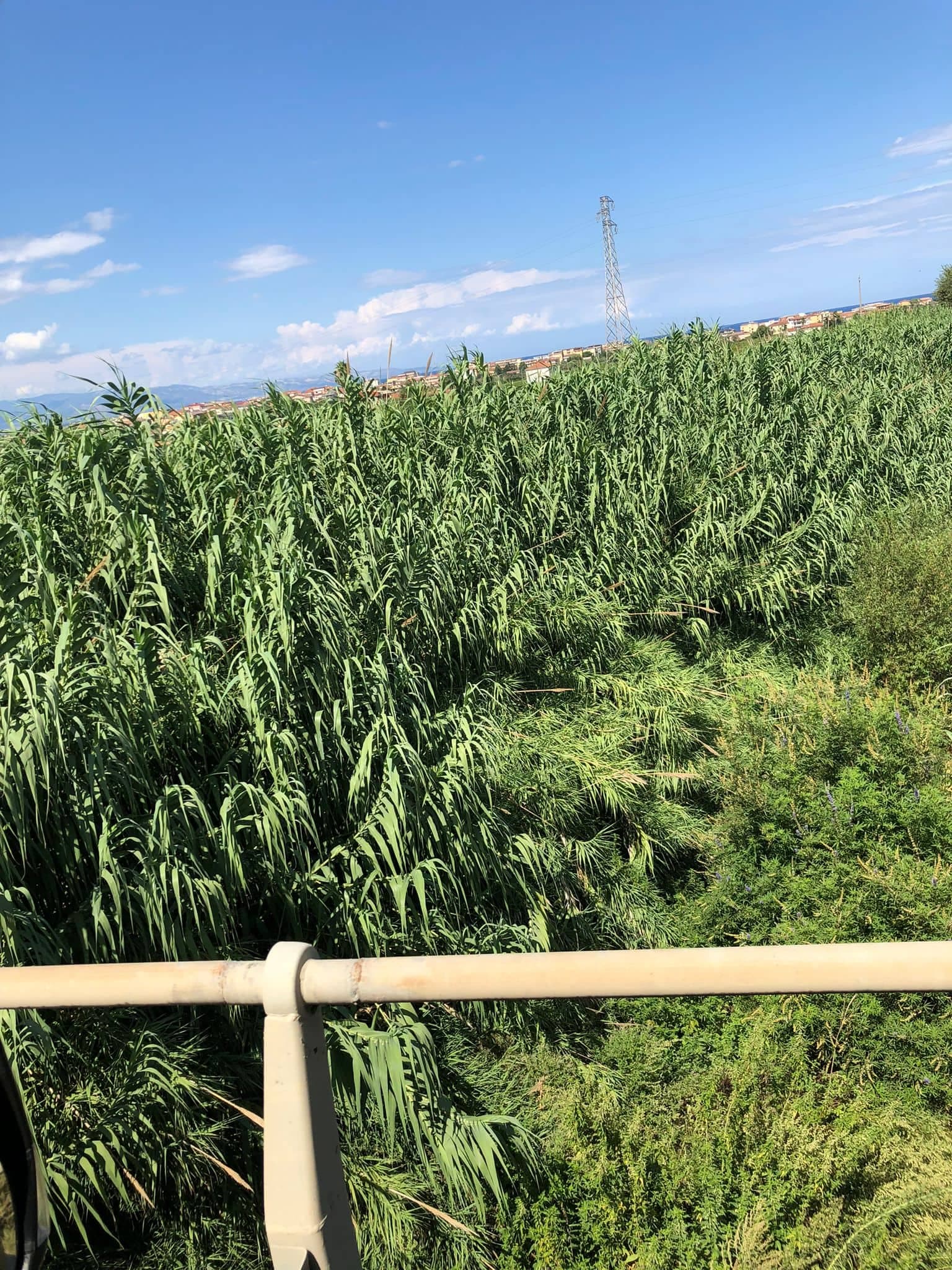 Corsi d'acqua, «Il comune di Corigliano-Rossano provveda alla pulizia e messa in sicurezza degli alvei»