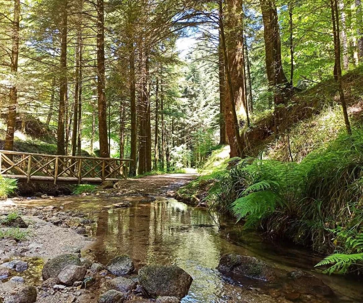 CorriCastrovillari, tanto l’impegno per la Corri a Rocca e per la Trail della Certosa