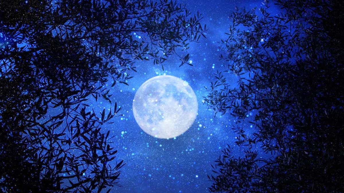 Occhi al cielo, arriva la Luna piena del Raccolto: sabato l'imperdibile spettacolo