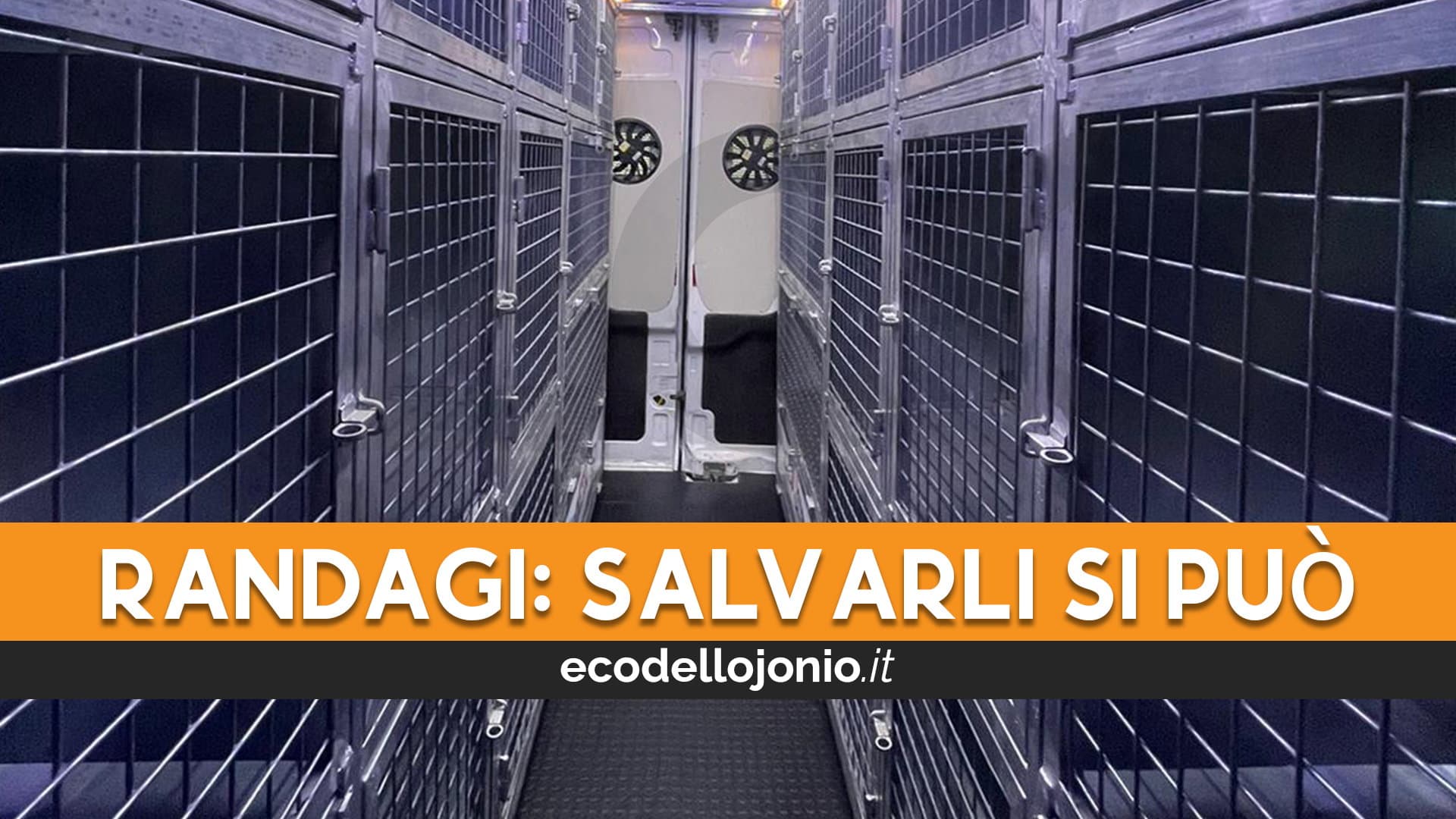 Se l'Asp non risponde, il bus-staffetta per salvare i randagi di Corigliano-Rossano c'è