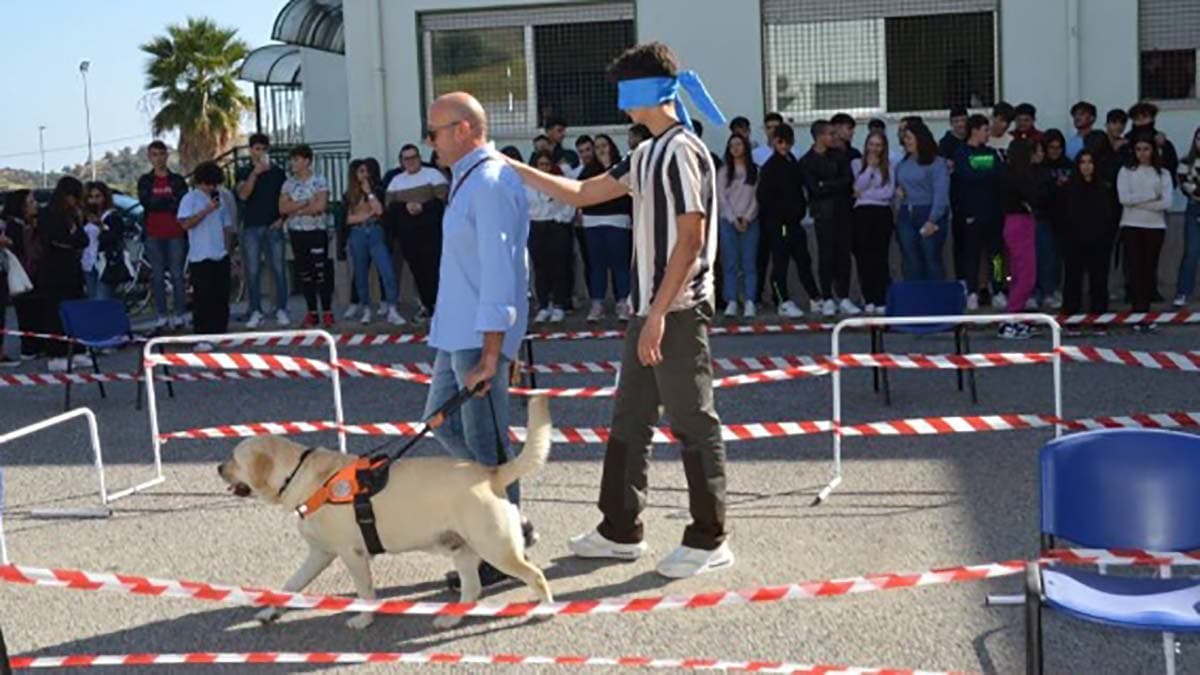 “Un compagno per la vista”: l’importanza del cane guida per i ciechi e ipovedenti