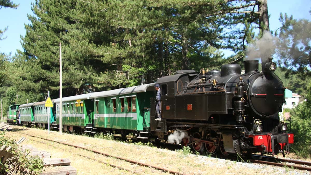 Un treno in corsa per una Sila più pulita: raccolta rifiuti per ogni fermata