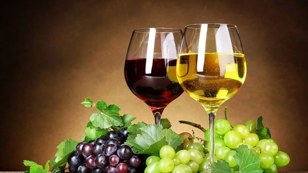 A Montegiordano ritorna la "Festa di San Martino" dove ogni mosto diventa vino... e che vino! Ecco quando