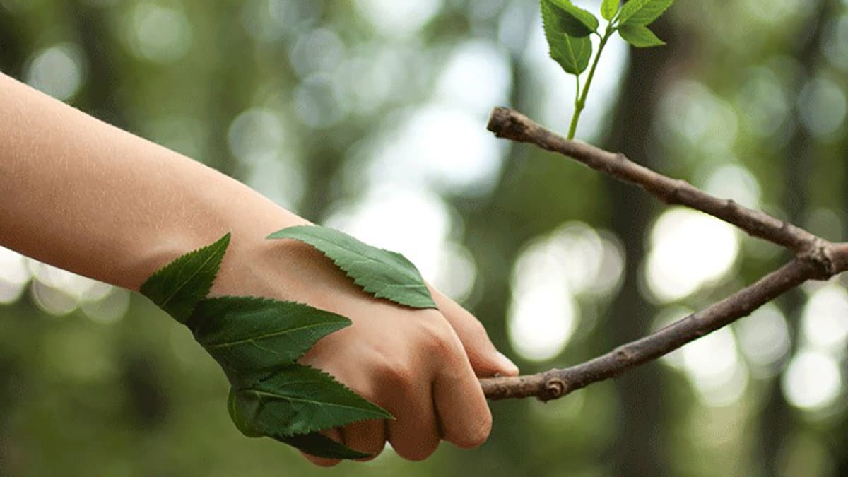 “Pianta un amico”, 16 piante ad alto fusto e ben 79 esemplari cespugliosi verranno piantati a Co-Ro