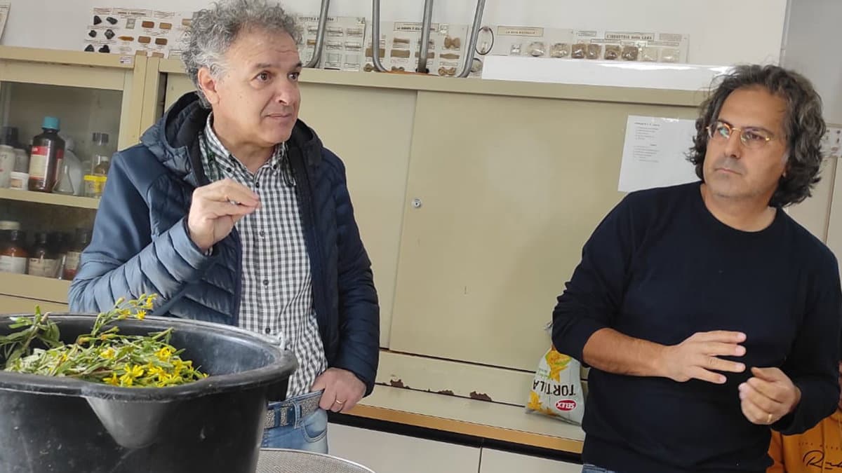 Salvare le api, all’Istituto Majorana di Co-Ro si studia un antidoto naturale alla loro malattia
