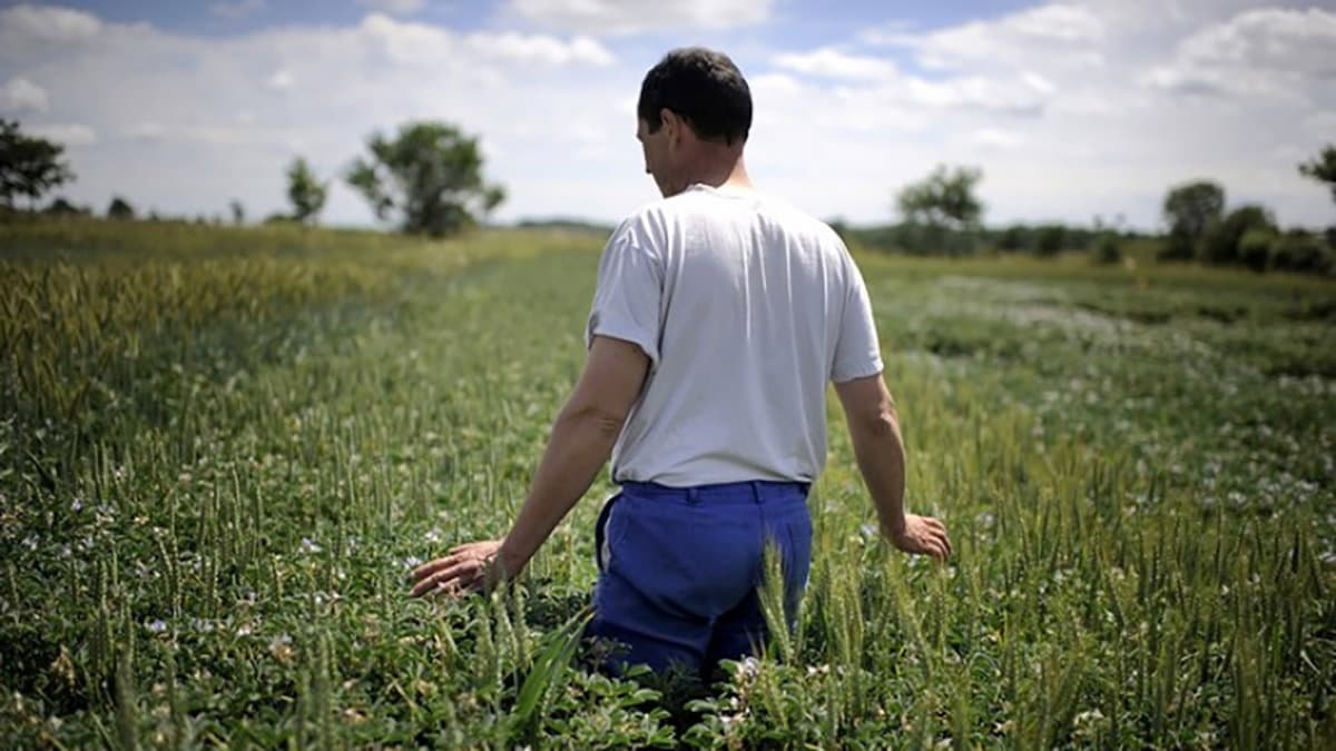 Finanza etica e progetti a sostegno dell'agricoltura: dare le terre incolte ai giovani