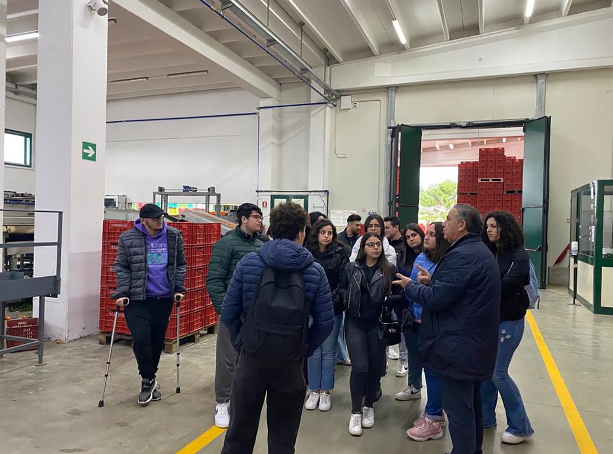 L'istituto "Palma" di Co-Ro alla scoperta del clementino grazie ad un interessante progetto