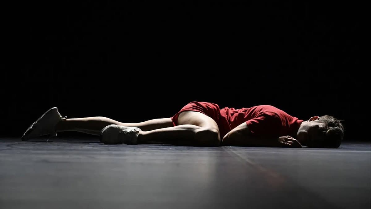 365 giorni di danza d'autore, tornerà in autunno "Ramificazioni Festival"