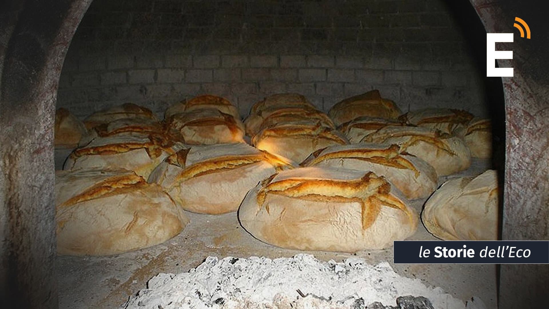Dio benedica il pane: così prezioso, così scontato. Ecco tutte le declinazioni del cibo degli uomini