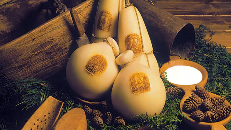 Il Caciocavallo silano nella top 50 dei formaggi migliori al mondo