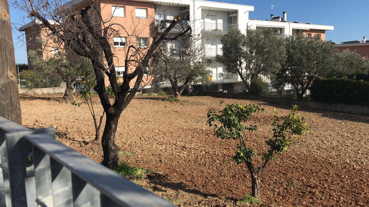 Trebisacce, con la scuola per formare futuri imprenditori