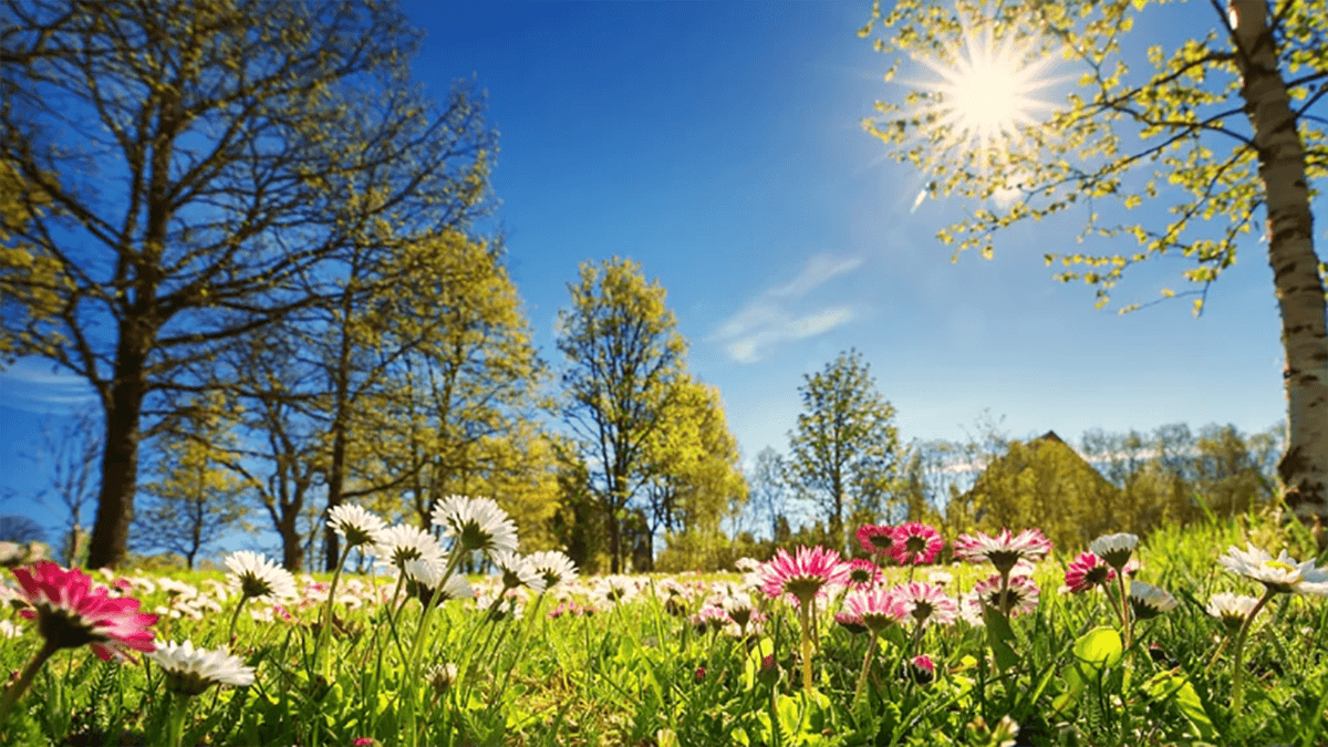 L'affascinante fenomeno dell'equinozio di primavera: è iniziata la bella stagione colorata