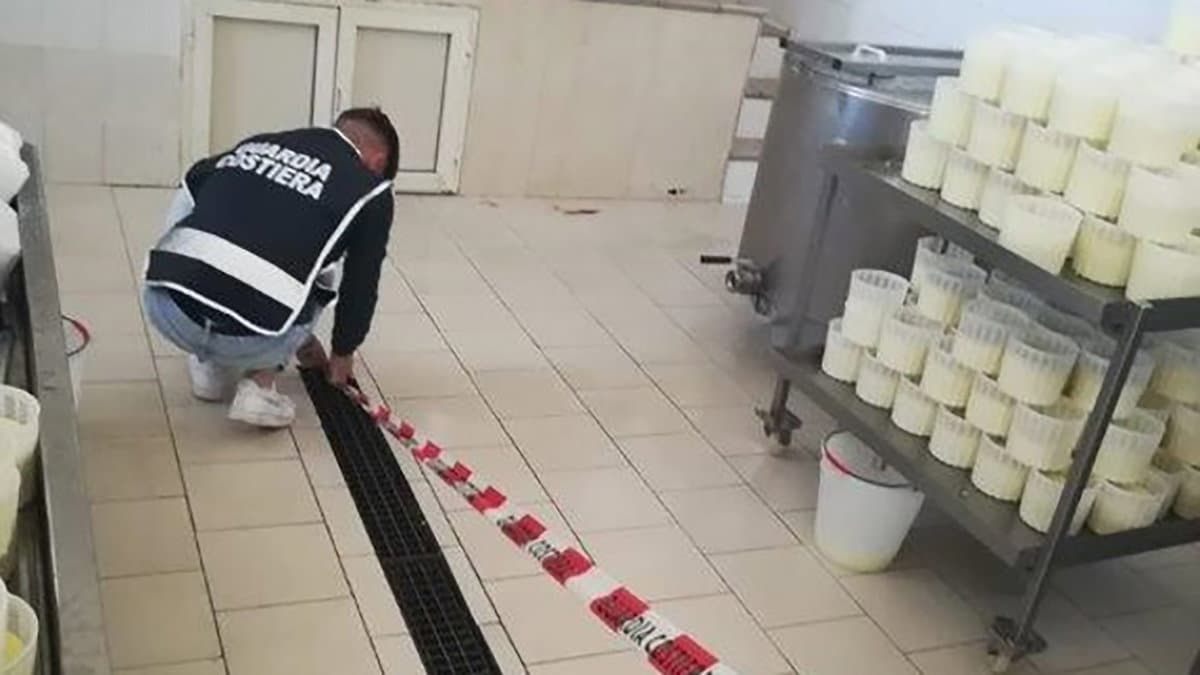 Scoperto e sequestrato un caseificio che scarica abusivamente nella rete fognaria