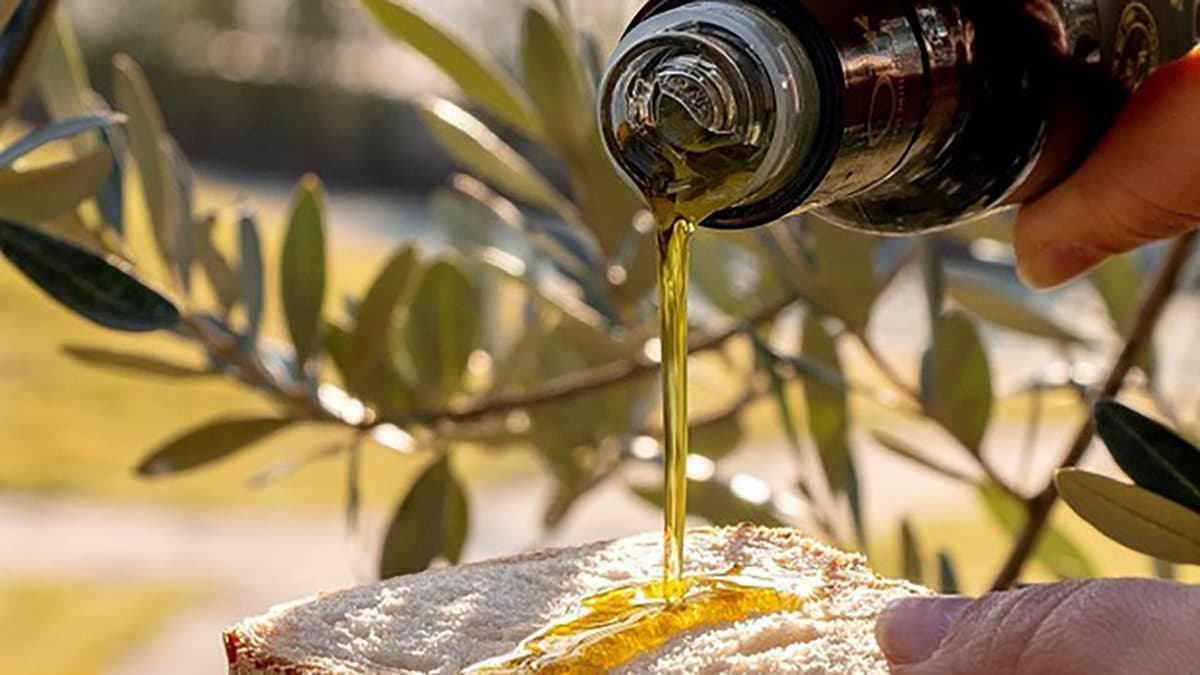 L’oro verde di Calabria premiato al concorso nazionale Ercole Olivario