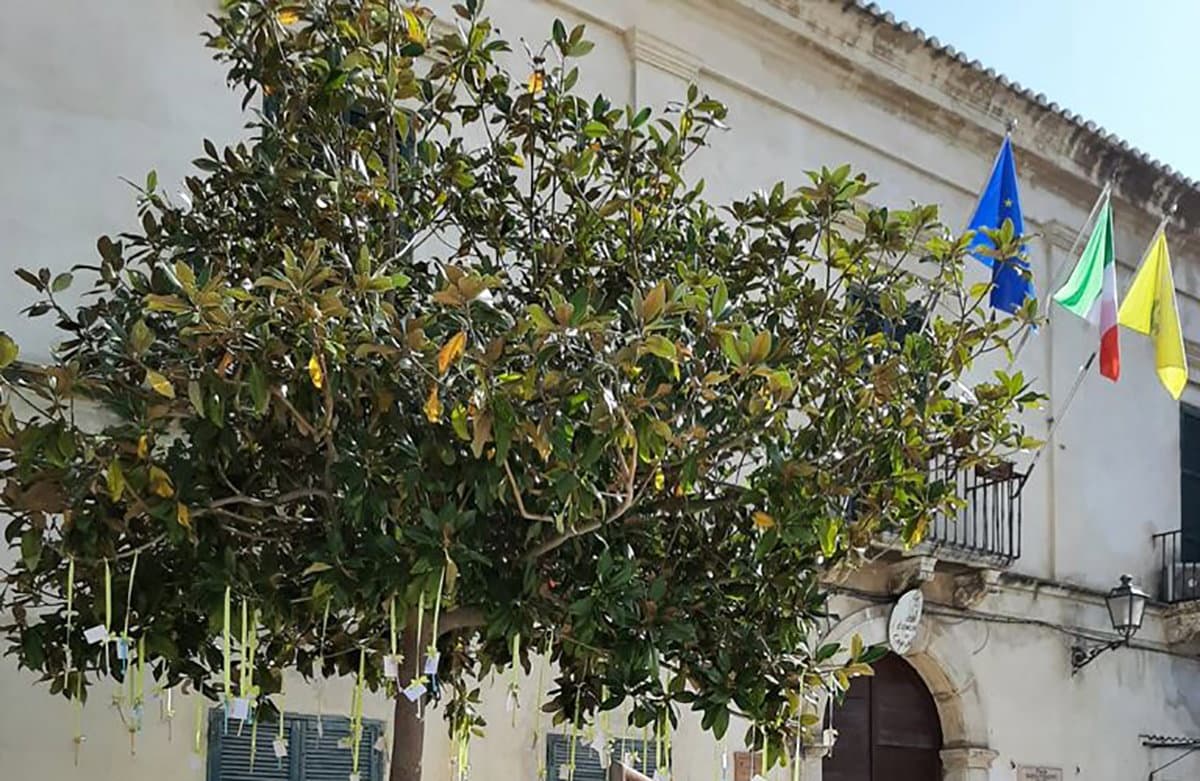 Giornata nazionale della gentilezza ai nuovi nati: l’evento di benvenuto a Cariati