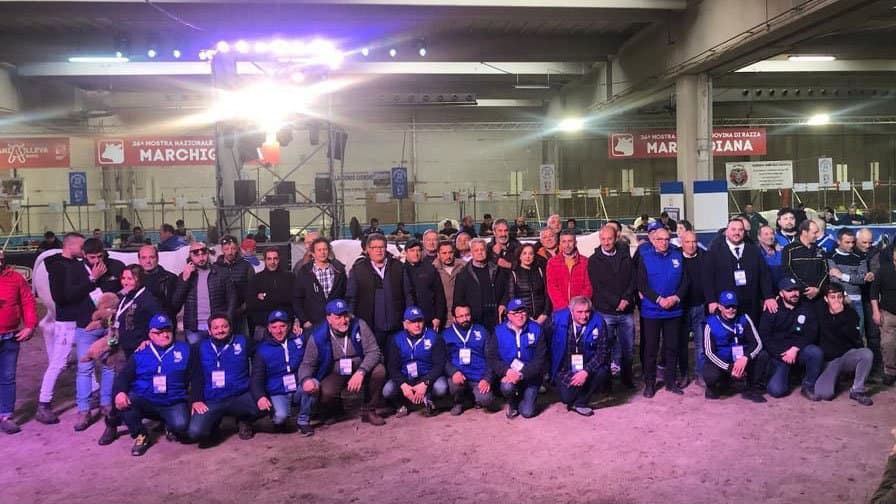 Coldiretti Calabria: premiati gli allevatori calabresi di podolica al CampaniAlleva Expo